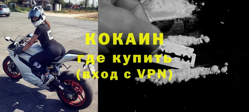 купить наркотики сайты  нарко площадка формула  COCAIN Fish Scale  Котлас  mega вход 